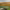 https://res.cloudinary.com/billionhands/image/upload/v1757172142/items/pyu9r8avwavia6ohrqqf.jpg-2cover
