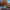 https://res.cloudinary.com/billionhands/image/upload/v1757502859/items/xfkopwxqbvjws0jldkqb.jpg-0cover