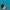 https://res.cloudinary.com/billionhands/image/upload/v1757932822/items/rjf4xkh5cewdy4odxhzj.jpg-0cover