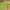 https://res.cloudinary.com/billionhands/image/upload/v1758269315/items/nuu9ks50d4oflqmz4zul.png-1cover