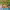 https://res.cloudinary.com/billionhands/image/upload/v1758540051/items/vsakwmhr93mhfbkbcmnk.jpg-3cover