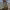 https://res.cloudinary.com/billionhands/image/upload/v1758557715/items/l6lexhvqtyxl1v0errzb.webp-1cover