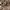 https://res.cloudinary.com/billionhands/image/upload/v1758557750/items/ynd71qbggxf5c2ufn7ft.webp-0cover