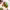 https://res.cloudinary.com/billionhands/image/upload/v1758558314/items/yzmteyodocxvotgrhtsn.jpg-3cover