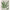 Leafy Textured Art cover