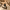 https://res.cloudinary.com/billionhands/image/upload/v1759229452/items/gd58x12qjiejcubk0ter.jpg-2cover