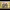 https://res.cloudinary.com/billionhands/image/upload/v1759521640/items/bagnjbqszeziam2kiyqg.jpg-2cover