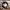 https://res.cloudinary.com/billionhands/image/upload/v1759909223/items/njnnh5cpkfbslodpbjih.webp-1cover