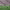 https://res.cloudinary.com/billionhands/image/upload/v1759918511/items/tdai7pwymydabiisyo61.jpg-0cover