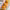 https://res.cloudinary.com/billionhands/image/upload/v1760683879/items/xpmhrqw2qlcx1fgz37r9.jpg-3cover
