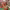 https://res.cloudinary.com/billionhands/image/upload/v1760698021/items/wt8yndl91xm0isx85igf.avif-2cover