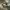 https://res.cloudinary.com/billionhands/image/upload/v1760784224/items/cslt8zhfuzobefrcwdnq.webp-2cover