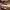https://res.cloudinary.com/billionhands/image/upload/v1760883326/items/jtbdm6vhemmbi5dufgia.webp-2cover
