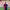 Dani Olmo cover
