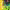 https://res.cloudinary.com/billionhands/image/upload/v1760954873/items/w1yfws0aibiug3yx1yzn.jpg-0cover