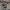 https://res.cloudinary.com/billionhands/image/upload/v1760992000/items/vrmm7twlocclnpvntfux.jpg-1cover