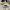 https://res.cloudinary.com/billionhands/image/upload/v1760992001/items/vwuz77xef6my47c7hdtk.jpg-2cover