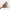 https://res.cloudinary.com/billionhands/image/upload/v1761031499/items/bvwtocx75fnlcrasagso.webp-1cover
