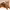 https://res.cloudinary.com/billionhands/image/upload/v1761031590/items/od1lasmor65jvxjayy3q.jpg-3cover