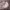 https://res.cloudinary.com/billionhands/image/upload/v1761031608/items/imbn80gzwj0epdpiouh6.jpg-3cover