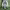 https://res.cloudinary.com/billionhands/image/upload/v1761031656/items/vdit1geepxggophw62za.webp-1cover