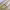 https://res.cloudinary.com/billionhands/image/upload/v1761236430/items/ovnwx63g547wijyopqad.webp-1cover