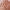 https://res.cloudinary.com/billionhands/image/upload/v1761236441/items/eoocklkknpecftzvcuhb.webp-2cover