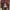 https://res.cloudinary.com/billionhands/image/upload/v1761306136/items/glzqek5yu9hddqqunytf.jpg-0cover