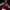 https://res.cloudinary.com/billionhands/image/upload/v1761380299/items/eo8n9831byyucozcpvfi.jpg-1cover