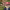 https://res.cloudinary.com/billionhands/image/upload/v1761554947/items/nfunjnhvqxyzuvprpxvk.webp-3cover