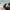 https://res.cloudinary.com/billionhands/image/upload/v1761564376/items/kufnfne2vd1fm7nortff.webp-0cover