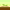 Forest cover