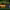 https://res.cloudinary.com/billionhands/image/upload/v1762148337/items/zmbxdyzh943omk6l9woh.jpg-2cover