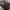 https://res.cloudinary.com/billionhands/image/upload/v1762337012/items/jeezckm91wrfinnoezol.jpg-1cover