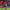https://res.cloudinary.com/billionhands/image/upload/v1762982958/items/m2wearlib5uhmbdsksc0.jpg-3cover