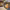 https://res.cloudinary.com/billionhands/image/upload/v1763123116/items/m8f0ckqczfaywh9zvytm.jpg-3cover