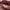 https://res.cloudinary.com/billionhands/image/upload/v1763398284/items/hkzi92raohzrahg3wpyw.webp-0cover