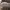 https://res.cloudinary.com/billionhands/image/upload/v1763398363/items/ieak8aepla8x0p4ly9vk.png-1cover
