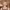 https://res.cloudinary.com/billionhands/image/upload/v1763398405/items/lsfaandync0wzto0uavk.avif-1cover