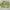 https://res.cloudinary.com/billionhands/image/upload/v1763398551/items/rtip1ec6rxjpdg6ctygh.jpg-1cover