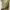 https://res.cloudinary.com/billionhands/image/upload/v1763400052/items/hsk4x3fqh3u60z9jepwj.webp-0cover