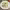 https://res.cloudinary.com/billionhands/image/upload/v1763400230/items/pgl3knpybttza6lsvsiy.jpg-2cover