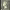 https://res.cloudinary.com/billionhands/image/upload/v1763400381/items/vkax0zlatpnjqhyov5ky.jpg-0cover