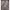 https://res.cloudinary.com/billionhands/image/upload/v1763400414/items/ixhuwdng64u5gwxl1l5w.webp-0cover
