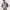 https://res.cloudinary.com/billionhands/image/upload/v1763400770/items/dv0aevjhlspcbtobz4kc.avif-3cover