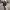 https://res.cloudinary.com/billionhands/image/upload/v1763400773/items/cr6yesjtxeyyklqkuhnc.jpg-2cover