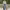 https://res.cloudinary.com/billionhands/image/upload/v1763400800/items/ypn9haydyx6cu2gcsgeb.jpg-3cover