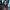 https://res.cloudinary.com/billionhands/image/upload/v1763541699/items/gyxeeemrgtbvscyyhjl2.jpg-0cover