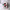 https://res.cloudinary.com/billionhands/image/upload/v1763631293/items/tczucnsjirjecj273zfp.webp-1cover