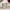 https://res.cloudinary.com/billionhands/image/upload/v1763634096/items/j0ia0grox3ihxgn9gilg.webp-3cover